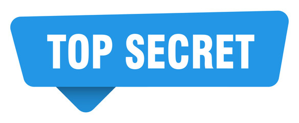 top secret sticker. top secret blue sign isolated on transpatent background