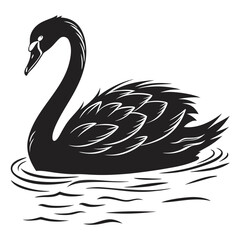 Swan swimming
