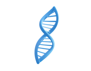 3D illustration of a double helix DNA structure in light blue
