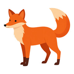 Obraz premium Adorable orange fox with a fluffy tail,simple flat vector art style illustration isolated on transparent background