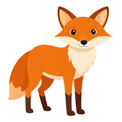 Obraz premium Cartoon fox standing isolated on transparent background cute forest animal vector orange and brown simple design illustration isolated on transparent background
