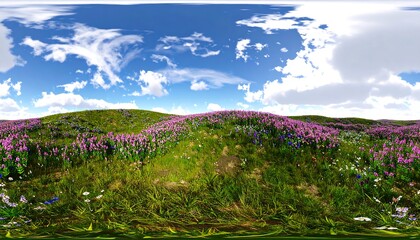 Panoramic view of a vibrant flower meadow under a partly cloudy sky