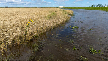 Flooded Fields After Heavy Rainfall