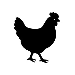 Silhouette of chicken standing on white background - Black silhouette illustration of a chicken, symbolizing farming, poultry, agriculture, and rural life with a simple minimal design.
