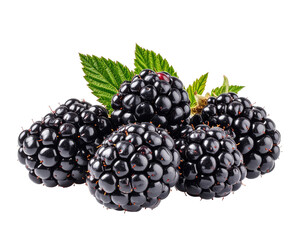 Close-up of fresh blackberries with green leaves