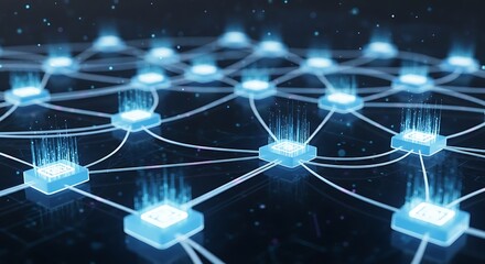 Networked Computer Systems.