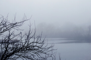 Foggy winter landscape with river and tree branches in foreground, atmospheric cold nature scene with minimalist mood for design and seasonal projects