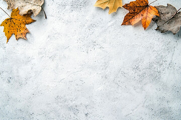 Autumn maple leaves in warm shades of orange and brown scattered on a texture background with copy space