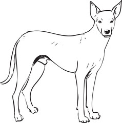 Street Dog Line Art Illustration