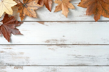 Rustic whitewashed wooden background with scattered dry autumn maple leaves in earthy tones, seasonal nature backdrop