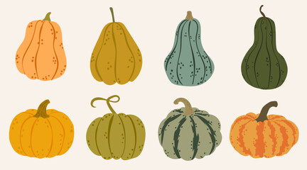 Vector set of various pumpkins in orange and green colors. Autumn harvest illustration for seasonal design, decoration, cards, posters, packaging, and Thanksgiving themes.