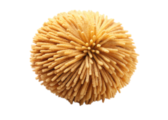 Borla isolated on white background