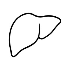 Liver icon. A simple illustration of human liver with line and solid style. Ideal for medical, educational, biological content. Human anatomy and health concept.