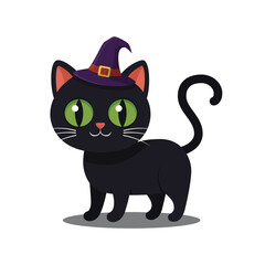 Black cat with witch hat with transparent background