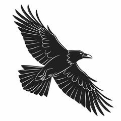 Crow flying