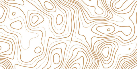Geographic mountain relief diagram line wave carve pattern. Geographic map conceptual design. Elegant background for presentations