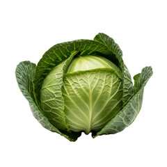 Fototapeta premium A fresh green cabbage with crisp outer leaves and a tightly packed core PNG cutout transparent background isolate