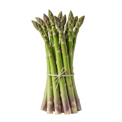 Fresh green asparagus spears tied with twine on a transparent background PNG cutout isolate