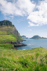 Cliffs and Ocean View with Wildflowers in Gásadalur, Faroe Islands