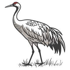 Obraz premium Crane Bird Standing on Grass Vector