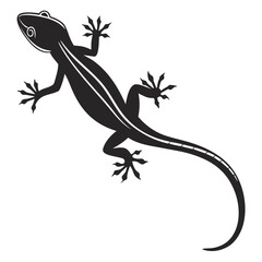 Fototapeta premium Lizard on rock