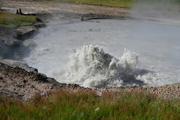 Geysers of the Yellowstone