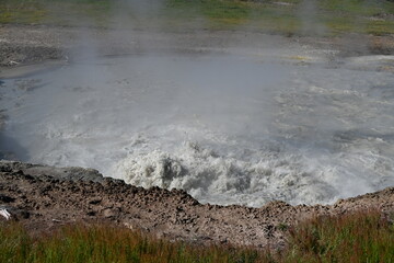 Geysers of the Yellowstone