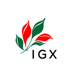 Modern Abstract Leaf Logo Design – Red and Green Nature-Inspired Brand Icon, IGX Later Logo, 
