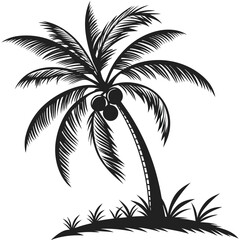 Obraz premium Palm tree with coconuts