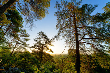Justice de Noisy hill in the Fontainebleau massif 