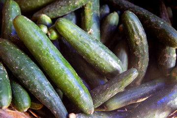 Bunch of Cucumbers