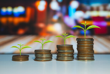 green plant leaves growth on row of coin stack on wood table with green blur background. money saving and investing for business investment finance and banking concept.