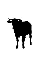 Black and white cow and bull vector illustration on farm