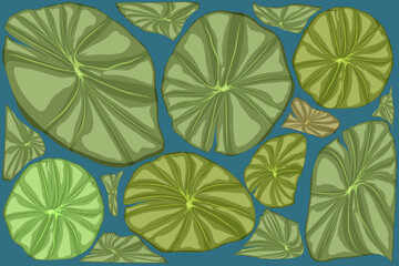 background with lotus leaves in the lake