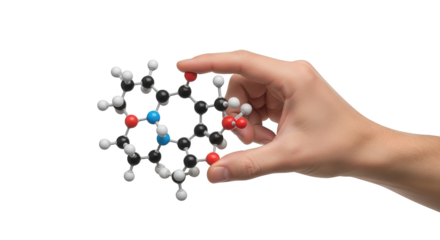 Understanding molecular structure hand holding molecule model science education chemistry concept study tool 3d on transparent background