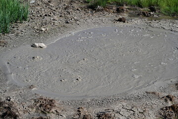 Geysers of the Yellowstone