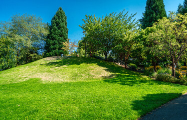 Park Hill And Grass