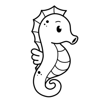 Outline cute illustration of seahorse