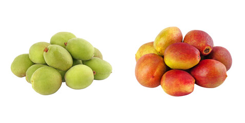 Duo of fresh green apricot and nectarine, arranged including kernel and green tones highlighted.