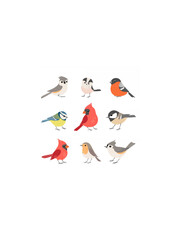 Fototapeta premium Collection of cute winter birds.ai