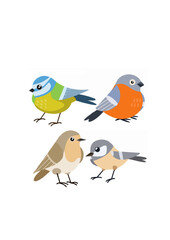 Set of Bird. Wild animal. Winged songbird. Cartoo.ai