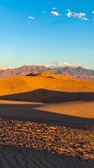 Golden sand dunes at sunset