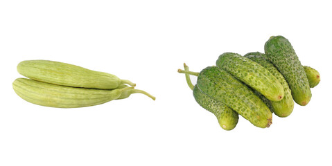 Duo of armenian cucumber and mini gherkin, arranged including contrasting forms.
