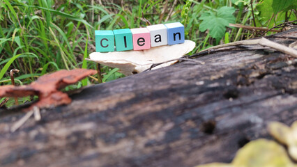 Colorful wooden blocks spelling clean on a mushroom in a natural outdoor setting