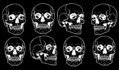 Set of Anatomically Correct Human Skulls Isolated, Hand-Drawn Line Art Vector Illustrations for Vintage Design and Tattoo Art