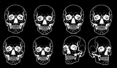 Set of Anatomically Correct Human Skulls Isolated, Hand-Drawn Line Art Vector Illustrations for Vintage Design and Tattoo Art
