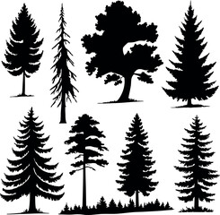 Stylized Evergreen Tree Icons Collection