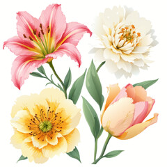 Watercolor Floral Arrangement with Lily Peony and Tulip Blossoms.