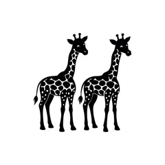 Obraz premium Silhouette of two giraffes with iconic patterned coats in black and white vector art