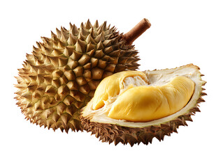 Obraz premium Ripe durian fruit close-up high angle shot showing spiky exterior and creamy yellow interior transparent background